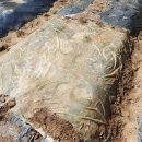 덕이 농장 이미지