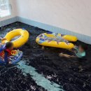 호텔 포레스트 휴 이미지