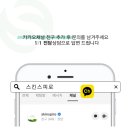 스킨스피로 네이버블로그