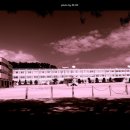 감포중학교 이미지