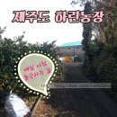 하린농장 이미지