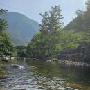 사지목 나무그늘 네이버블로그