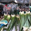 서울약령시장 이미지