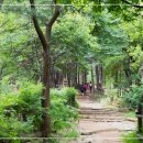 연세정신건강의학과의원 이미지