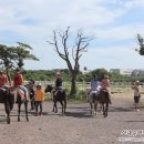 서광자동차랜드 이미지