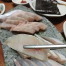 남해 회 해산물 이미지