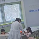 어린이 AI 코딩 | 국립광주과학관 6세 유아코딩 핸즈온AI코딩 첫 수업 후기