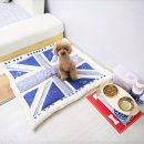 24아프리카동물메디컬센터 이미지