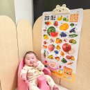 블루래빗 토이북 추천! 블루래빗 사운드 차트, 원목 교구 후기