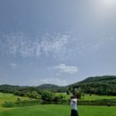 소피아그린 | ⛳️ 여주 소피아그린 CC 라운딩 후기