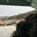 비타민 흑염소농장 이미지