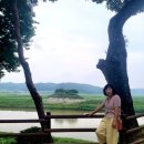 260717 안동 만휴정, 도산서원 이미지