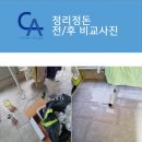 평택파출부
