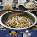 숙주나물 무침 이미지