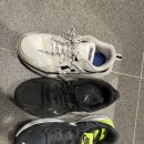 맥스퓨전(MAX FUSION) 이미지