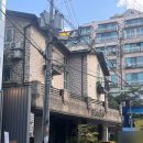 [내돈내산]강남역 데이트 코스 화덕피자, 카페 추천 | 도치피자, 브라운 홀릭 후기