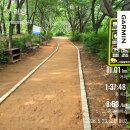 하늘어린이집 | 26.05.23 | 대전 뾰족산 트레일러닝! 11km