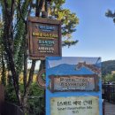 삼성조류 | 에버랜드 리버트레일 가격 예약 후 동물 산책 솔직 후기