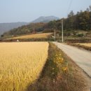 강근영민박 이미지