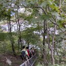 군산스포츠클라이밍센타 이미지
