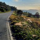 후산리 마을회관 이미지