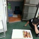 도니도니 이미지