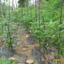 금동펜션 이미지