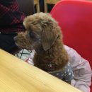 폴레폴레 게스트하우스 이미지