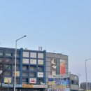 [서울/강서구] 강서구수산시장 강화수산 | 제철대방어 맛집