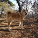 자룡농장 이미지