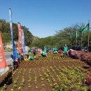 남해 금빛 이미지