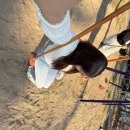 소답동195 이미지