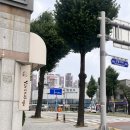 옥시기하우스 | 강릉역 소품샵 추천 옥시기하우스 옥수수를 테마로 한 곳