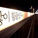 마포만물
