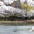 태릉입구역 3번출구 버스정류장 이미지