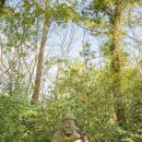 돌하르방미술관 이미지