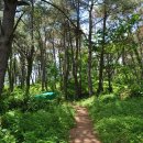 불암치안센터 이미지