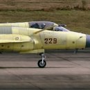 중국 파키스탄의 FC-1 / JF-17 최신형 공중 급유 능력 탑재 이미지