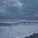 이호로 99 이미지