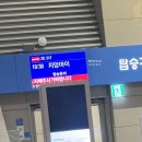 센트럴500쇼핑몰 개방화장실 | ㅣ찡짜이마켓ㅣ와로롯시장ㅣ라탄마켓ㅣ센트럴 페스티벌 쇼핑몰ㅣ선데이마켓ㅣ블루누들ㅣ기념품 쇼핑...