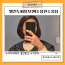 수지구평생학습관_R5 | [공지] 두피가 너무 가려워서 다녀온 용인두피탈모 웰킨두피&amp;탈모 수지점 두피케어 솔직후기