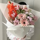 플로라소뇨마곡