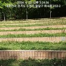 화양로68번길 이미지