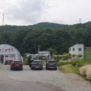 지올리브 이미지