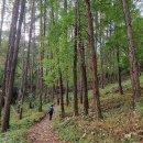 치악산둘레길 10코스 아흔아홉골길 이미지