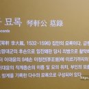 부산대학교 박물관 이미지