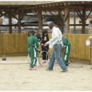 대가야소고기국밥 이미지