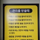 고양체형피부관리실
