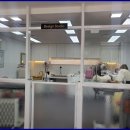 멍멍스타일 이미지