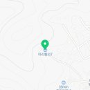 마리벨317 A 이미지